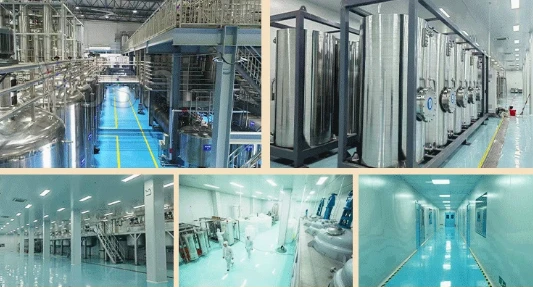 Ascorbic Acid Coated Powder | Stabilized Vitamin C Powder Factory factory