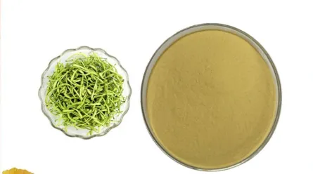 Lonicera Caprifolium Extract suppliers