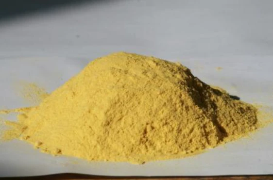 Platycladus Orientalis Leaf Extract Natural Oriental Arborvitae Leaf Plant Extract For Cosmetic & Skincare Raw Materials suppliers