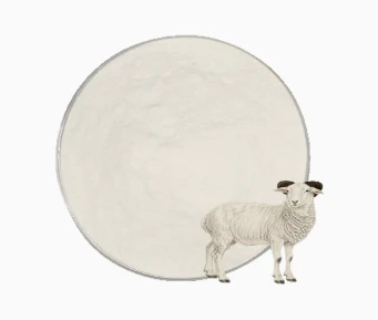 Sheep Placenta Freeze‑Dried Extract Powder Sheep Placenta Freeze‑Dried Extract Powder