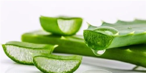 Low‑temperature Aqueous Extraction Empowers Active Retention of Aloe Barbaden...