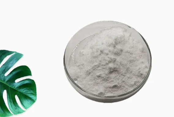 Organic Resveratrol 98% white powder, high‑purity plant‑based antioxidant extract for supplements and cosmetics Organic Resveratrol 98% white powder, high‑purity plant‑based antioxidant extract for supplements and cosmetics