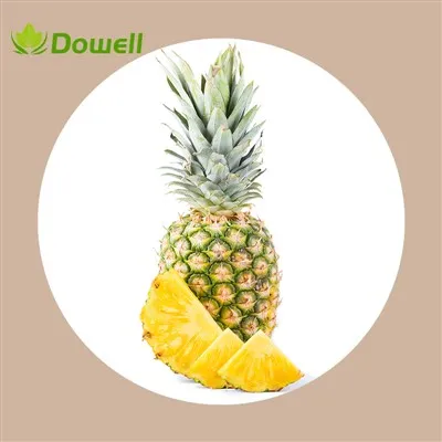 Natural Bromelain Extract Powder